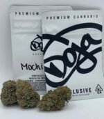 Doja Exclusive | Mochi