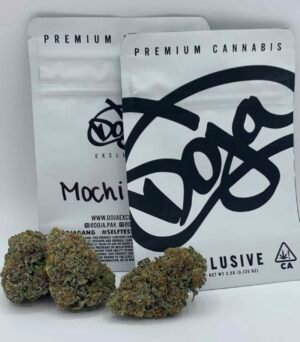 Doja Exclusive | Mochi