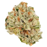 Big Sur Holy Weed