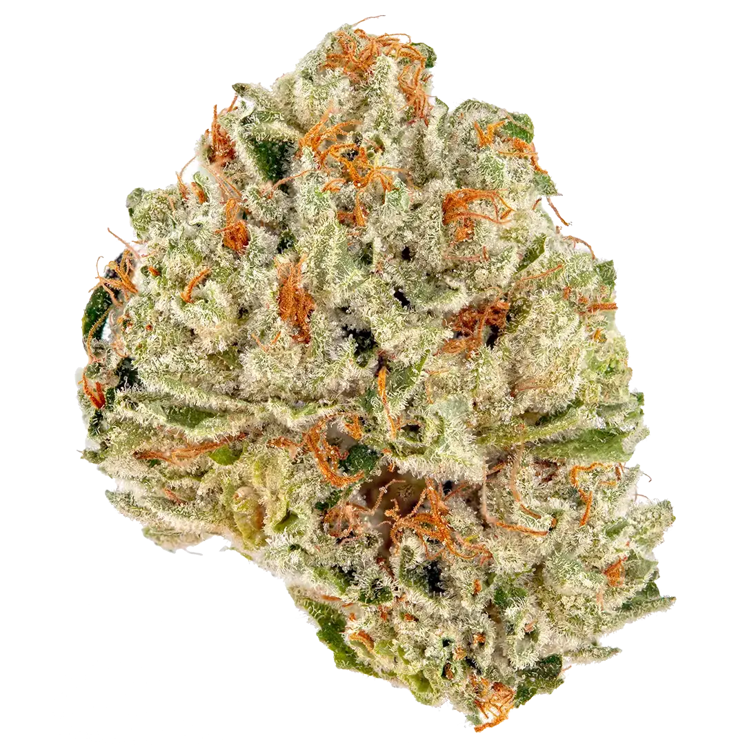 Big Sur Holy Weed