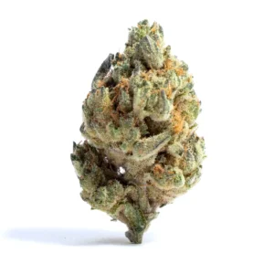 Royal Haze
